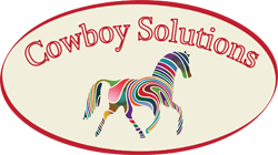 Cowboy Solutions